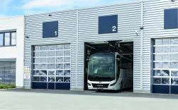 1773780773_manservice_lion039scoach_4c